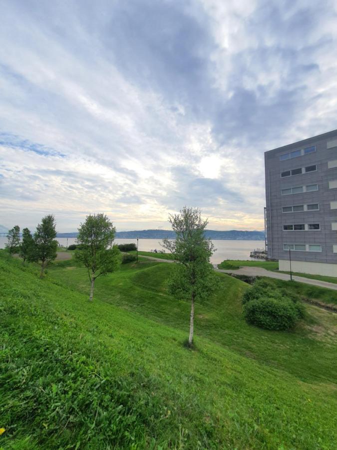 Northern Dreams Apartment With Free Parking Tromso Exterior photo